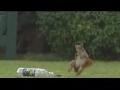 /f1f39402f9-funny-new-energy-drink-commercial-carlsberg-sport