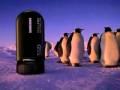 /1a8a1d8048-hpenguine-or-camcorder-ssd-camcorder-seems-like-a-penguin