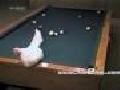/feb61bce52-hottest-billiard-shot