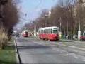 Trams in Vienna