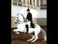 /dc1622eb7b-lipizzaners-horses-of-austria