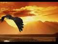eagle sunrise