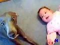 /802090739c-hund-und-baby