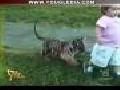 /a5ca736cae-funny-videos-collection-01