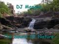 DJ Mangoo - The Sound Of Nature