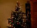 /79df142d60-katze-im-weihnachtsbaum