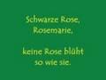 /bc74659e04-schwarze-rose-rosemarie