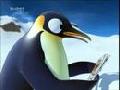 /44153ec1fb-pigloo-papa-pinguin