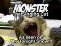 Monster the Singing Cat!