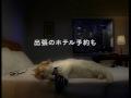 /2df0bd725c-cat-commercial