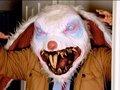 /b939b5ac6c-mean-bunny-april-fools-prank