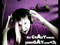 17 - DJ CrazyVisual ~ EmoGayLove