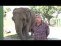 Rosamond Gifford Zoo's Elephant Gives Birth
