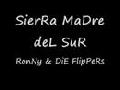 /2c3b1bf7b2-sierra-madre-del-sur-super-song