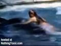 Orca attack teen Girl