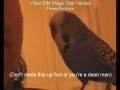 Best Swearing Budgie - Unforgivable - The Feather Dusters