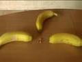 INCROYABLE : les dangers d'une banane!