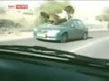 Horse Tramples on Car