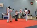 /400e080daf-karate-kick-direct-hit
