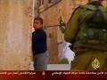 /373b344b89-the-suffering-of-the-children-of-palestine