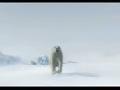 /48f040a56e-polar-bear-attack
