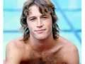 /63c9c77d5f-i-just-want-to-be-your-everything-andy-gibb