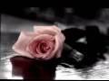 Andre Rieu & The Johann Strauss Orchestra - The Last Rose of