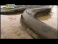 La Anaconda vs El caiman