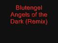 Blutengel Angels of the Dark (Remix)