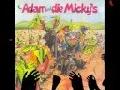 Die Runkelroiweroppmaschin'-adam & die mickys