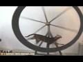 Kittehs Exercise Wheel